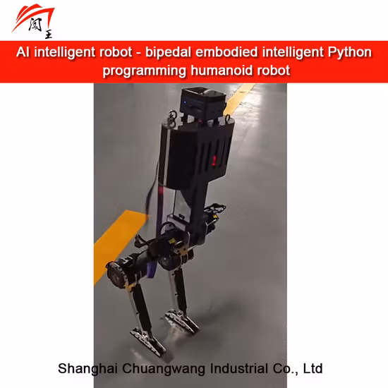 Robot humanoïde intelligent, nouveau produit