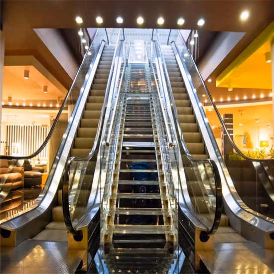 Escalator de prix bon marché de fonctionnement stable certifié CE Eac