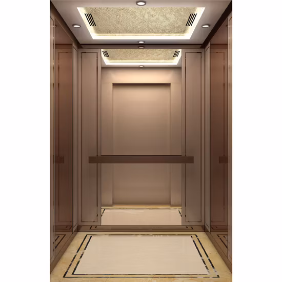 Chine Ascenseur de passagers Vvvf Home Lift de haute qualité