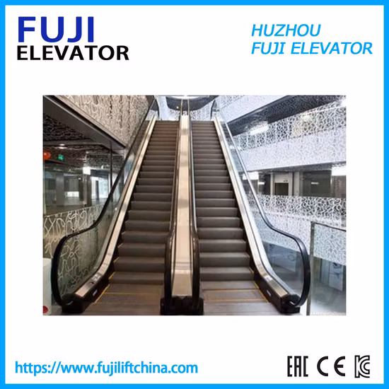 Promenade mobile d'escalator commercial intérieur extérieur d'usine de FUJI Chine avec Vvvf et arrêt de démarrage automatique