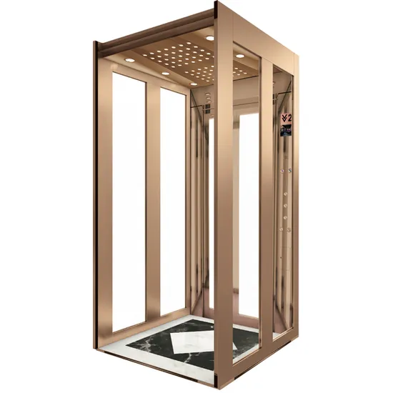 Ascenseur d'ascenseur de maison de passager bon marché résidentiel de luxe avec la cabine d'acier inoxydable