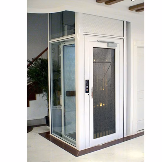 Ascenseur de passagers de villa d'ascenseur de maison résidentielle de vente chaude de 400 kg