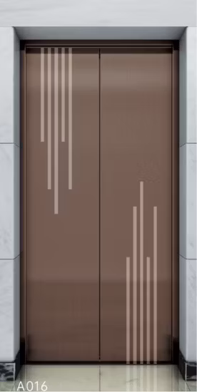 Stainless Steel Mirror Home Panoramic 6 Person Passenger Elevator Lift