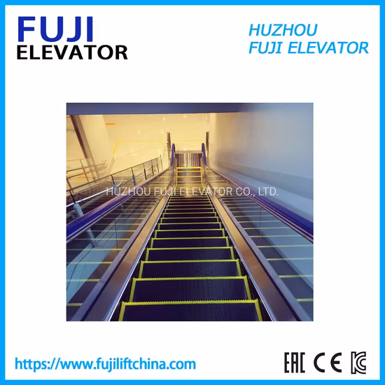FUJI China Factory Moving Wall Escalator with High Quality Modern Design Automatic Start Mechanical for Shopping Mall