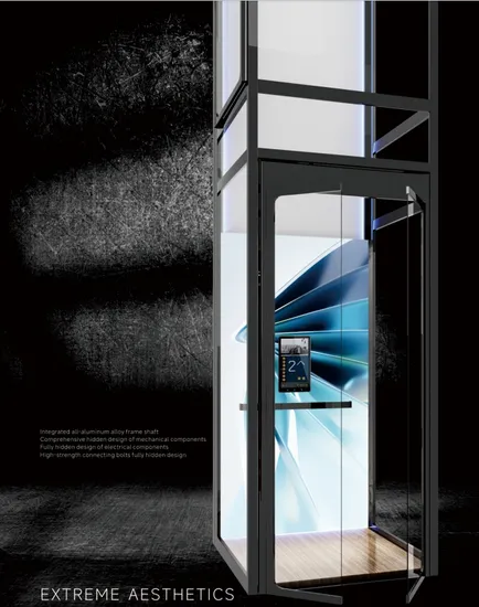 Stainless Steel Mirror Home Panoramic 6 Person Passenger Elevator Lift