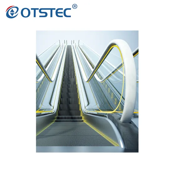 Top 10 China Factory Manufactured Escalator