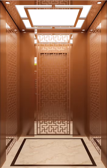Best Lifts 6 Person Used Passenger Elevators for Sale