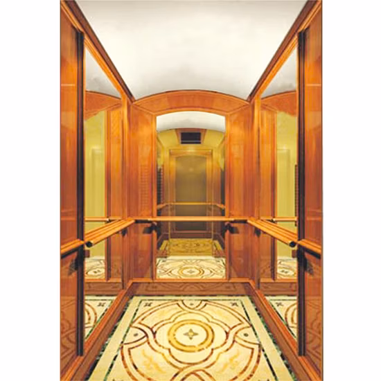 8 Person Machine Room House Residential Villa Passenger Home Elevator
