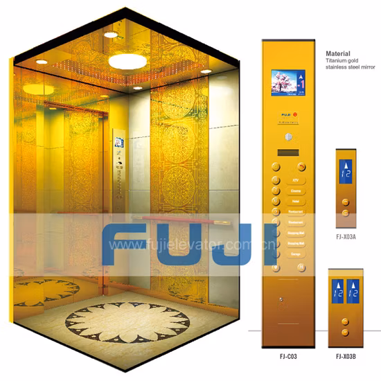 FUJI Home Elevator Hospital Lift Passenger Elevator for Sale