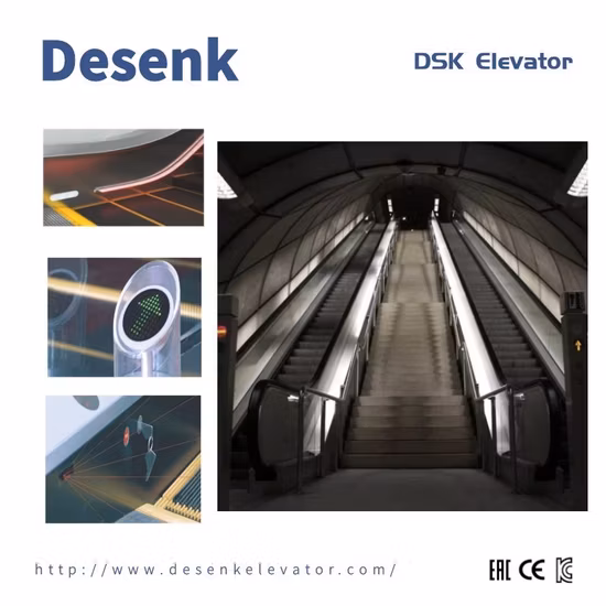 Desenk Safe Home Passenger Indoor Escalator For Shopping Mall VVVF Escalator Price