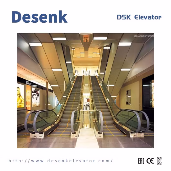 Outdoor Commercial Public Handrail Electric Escalator for Sale