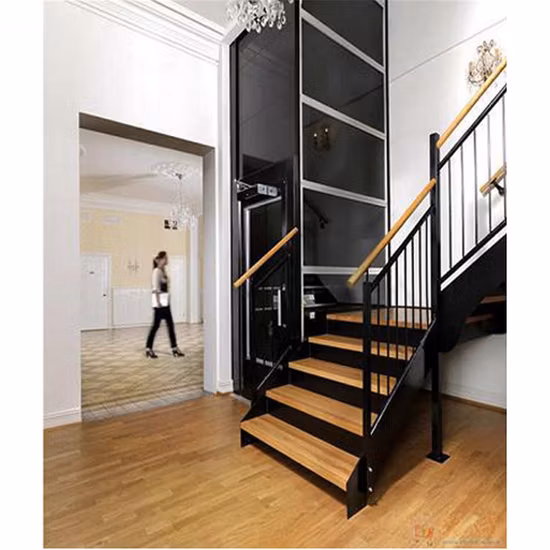 400kg Hot Sale Residential Home Lift Villa Passenger Elevator