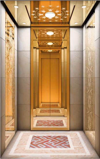 Wholesale High Speed FUJI Comfort Safety Stainless Steel Mirror Hydraulic Luxury Gearless Residential Home Villa Family Panoramic Passenger Lift Elevator