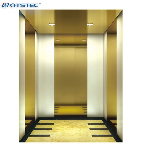 Fujixun Electric Villa Home Panoramic Freight Cargo Car Goods Hospital Observation Residential Sightseeing Glass Passenger Elevator Lift