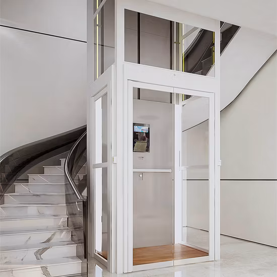 Vertical Disable Elderly House Elevator Platform Hydraulic Handicap Home Villa Wheelchair Residential Passenger Observation Glass Sightseeing Lift