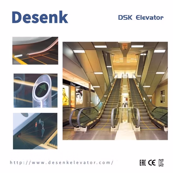 Desenk Safe Home Passenger Indoor Escalator For Shopping Mall VVVF Escalator Price