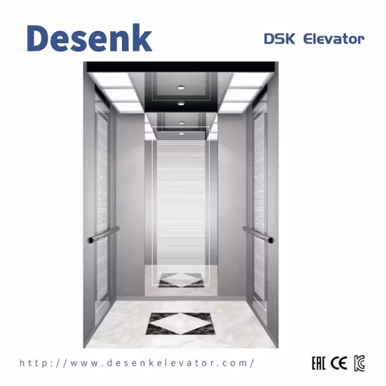 Desenk Small Machine Room Residential Passenger Lift Villa Elevator with Low Elevator Price
