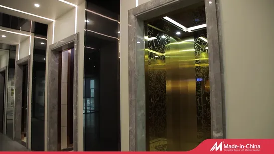FUJI Villa Machine Room Passenger Home Elevator Lifts with Goods Residential Hotel