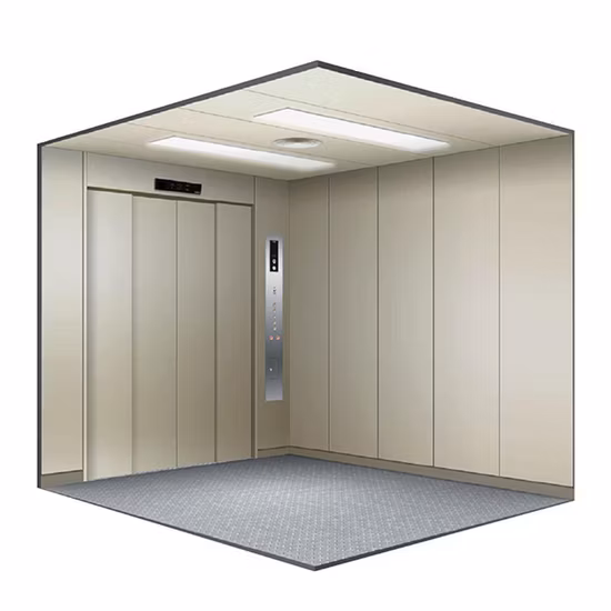 Chinese Good Quality Cargo Lift Freight Lift Goods Elevator with Good Price