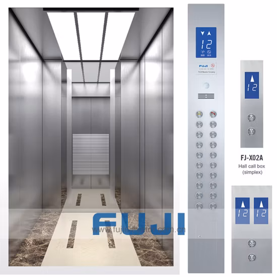 FUJI Home Elevator Hospital Lift Passenger Elevator for Sale