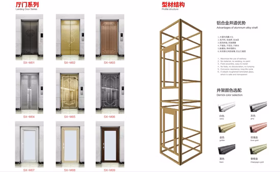 Luxury Cheap Passenger Home Wheelchair Villa Hydraulic Handicap Lift with Low Noise Machine Roomless