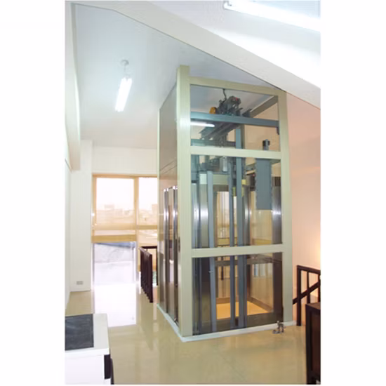 400kg Hot Sale Residential Home Lift Villa Passenger Elevator