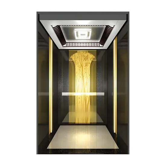 Machine Room Less Passenger Elevator Lift China Office