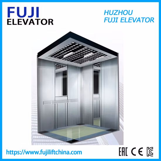 Vvvf Control Observation Passenger Elevator with Machine Room-Less