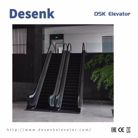 Outdoor Commercial Public Handrail Electric Escalator for Sale