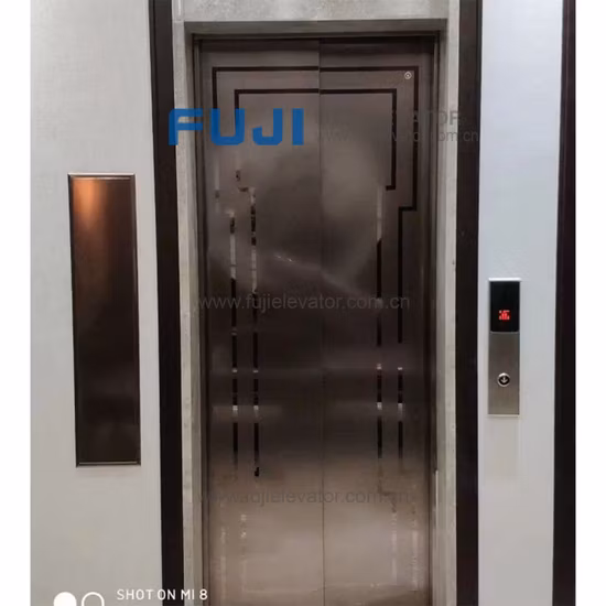 FUJI Home Elevator Hospital Lift Passenger Elevator for Sale