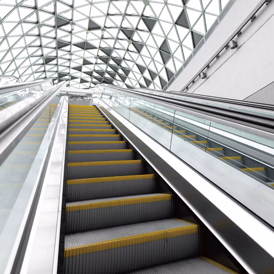 China Escalator Suppliers Escalators Elevator Lift Professional Escalators Manufacturer