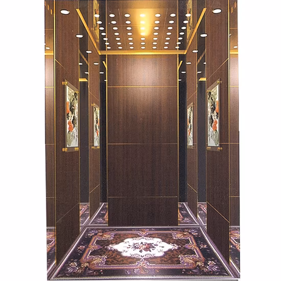 8 Person Machine Room House Residential Villa Passenger Home Elevator