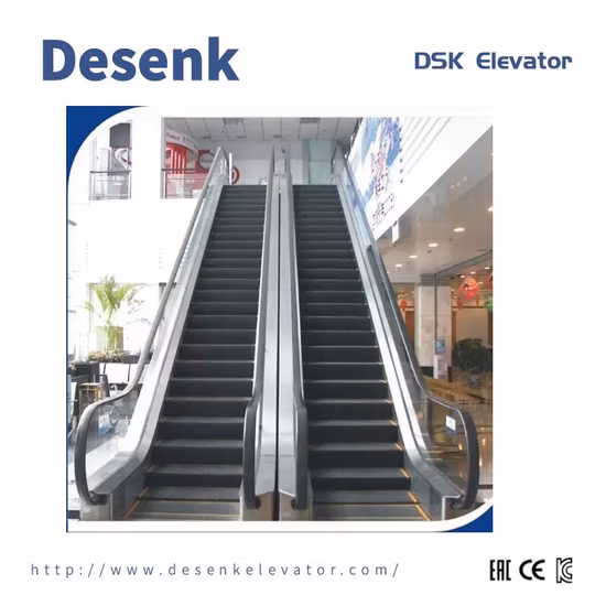 Desenk Safe Home Passenger Indoor Escalator For Shopping Mall VVVF Escalator Price