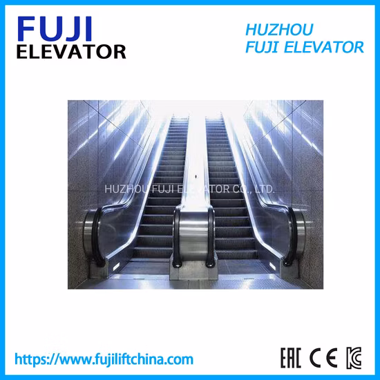 FUJI China Factory Moving Wall Escalator with High Quality Modern Design Automatic Start Mechanical for Shopping Mall