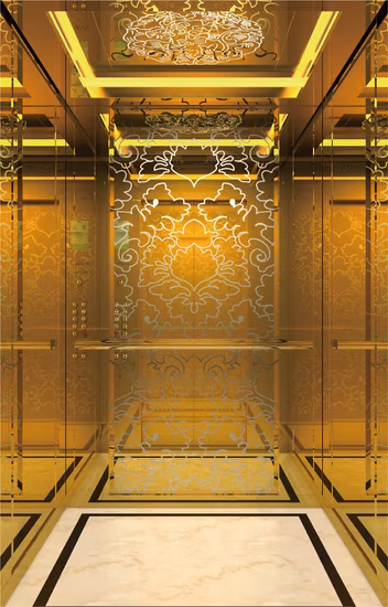Best Lifts 6 Person Used Passenger Elevators for Sale