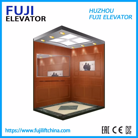 Vvvf Control Observation Passenger Elevator with Machine Room-Less