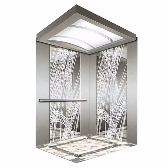 10 Person AC Machine Room-Less Passenger Elevator with Hairline Stainless Steel