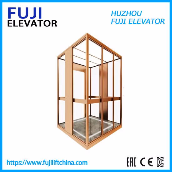 Vvvf Home Observation Control Car Goods Elevator with Machine Room-Less