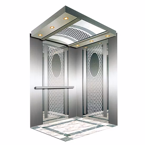 10 Person AC Machine Room-Less Passenger Elevator with Hairline Stainless Steel