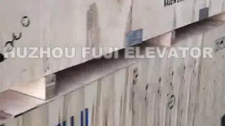 Vvvf Control Observation Passenger Elevator with Machine Room-Less