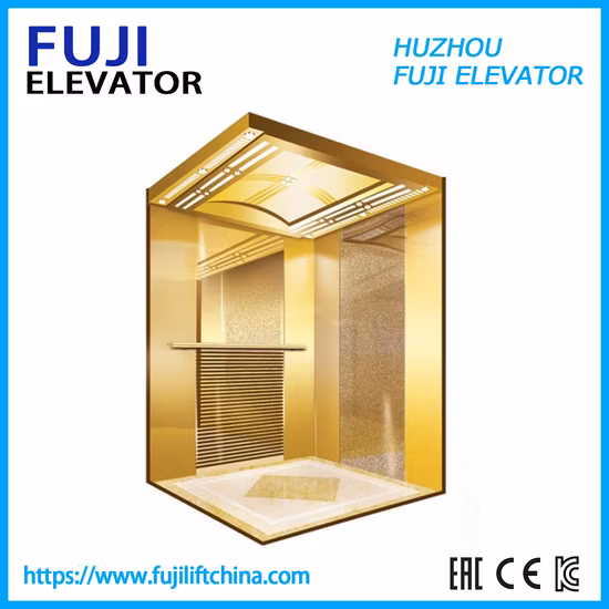 Vvvf Control Observation Passenger Elevator with Machine Room-Less