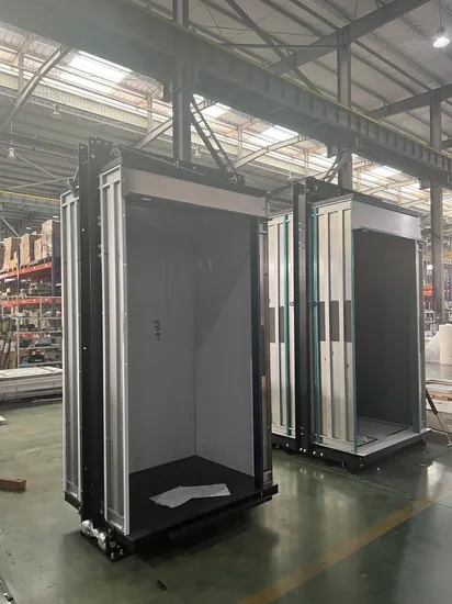 Lift Manufacturers Machine Room High Speed Electric Passenger Elevator