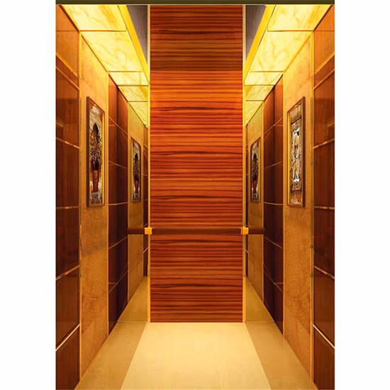8 Person Machine Room House Residential Villa Passenger Home Elevator