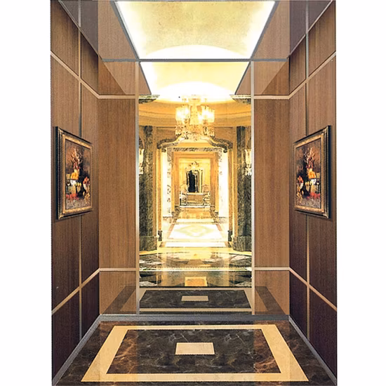 8 Person Machine Room House Residential Villa Passenger Home Elevator