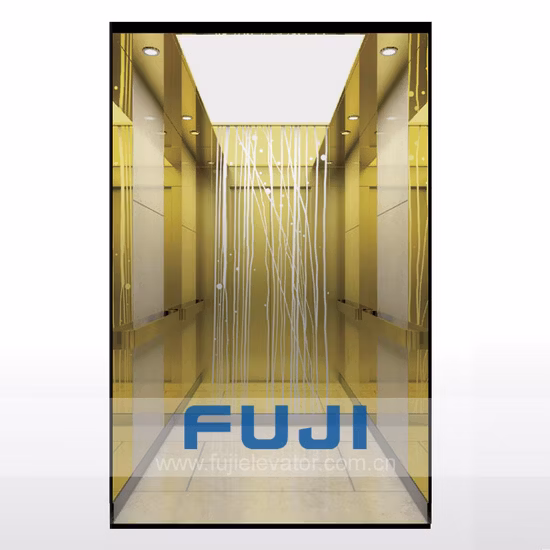 FUJI Home Elevator Hospital Lift Passenger Elevator for Sale