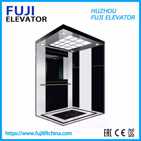 Vvvf Control Observation Passenger Elevator with Machine Room-Less