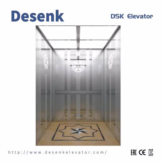 Desenk Small Machine Room Residential Passenger Lift Villa Elevator with Low Elevator Price