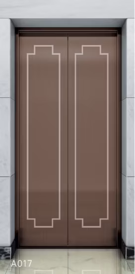 Stainless Steel Mirror Home Panoramic 6 Person Passenger Elevator Lift